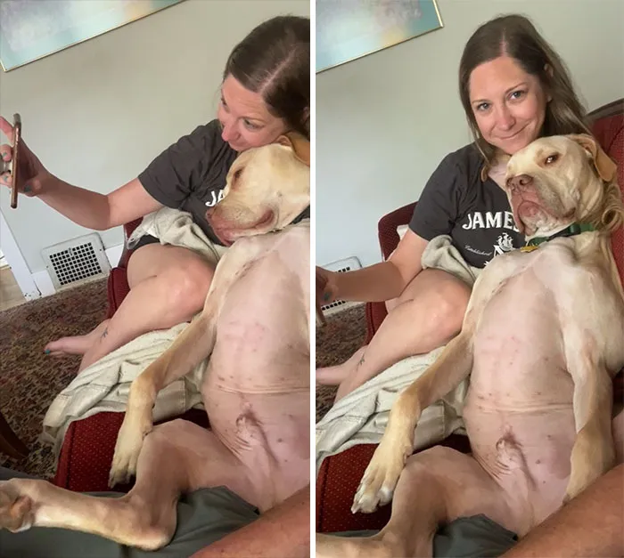 He pillado a mi novia haciéndose selfies con el perro. Me duele que me mire así