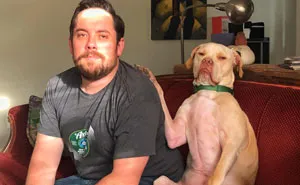 50 Mascotas sinvergüenzas que le robaron la pareja a sus dueños y no se arrepienten (fotos nuevas)