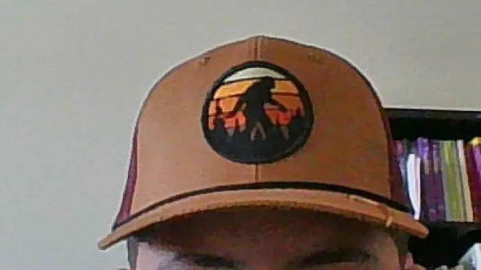 This Lovely Hat