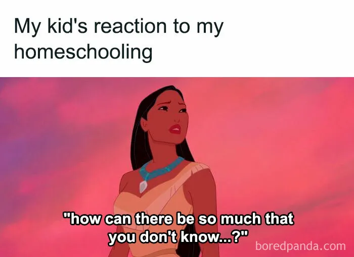 40 Memes For Parents Who Can't Take Their Kids Learning From Home Anymore