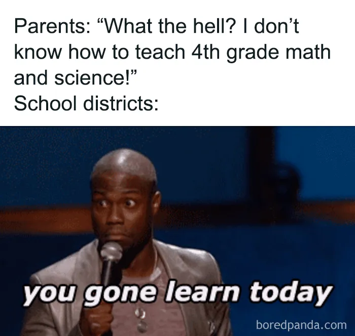 40 Memes For Parents Who Can't Take Their Kids Learning From Home Anymore