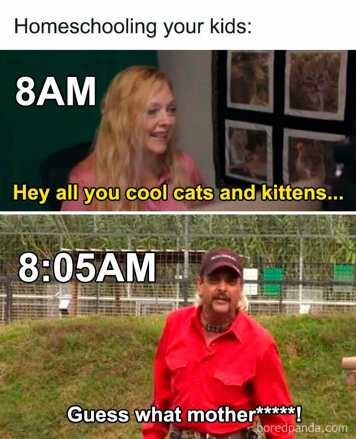 40 Memes For Parents Who Can't Take Their Kids Learning From Home Anymore