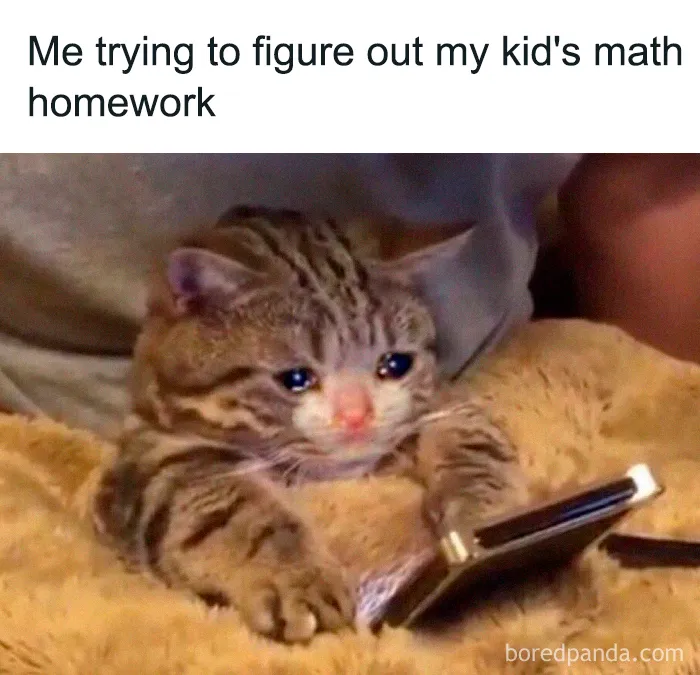 40 Memes For Parents Who Can't Take Their Kids Learning From Home Anymore