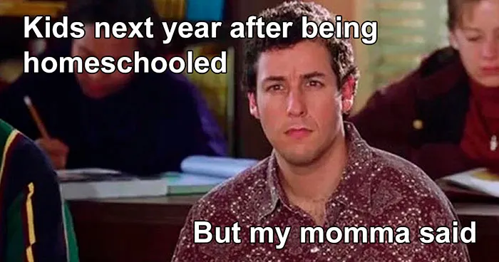 40 Memes For Parents Who Can't Take Their Kids Learning From Home Anymore
