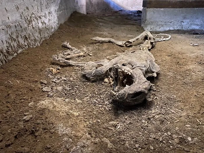 30 'Nightmares' And 'Miracles' Discovered During Structural Inspections