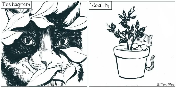 My 29 Comics That Show What It’s Like To Live With A Cat And A Dog