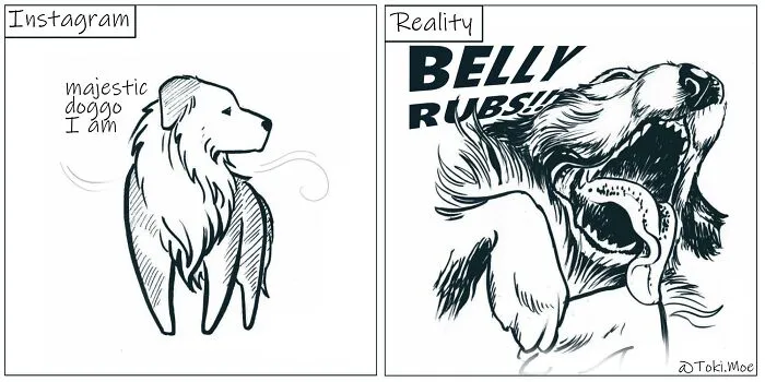 My 29 Comics That Show What It’s Like To Live With A Cat And A Dog