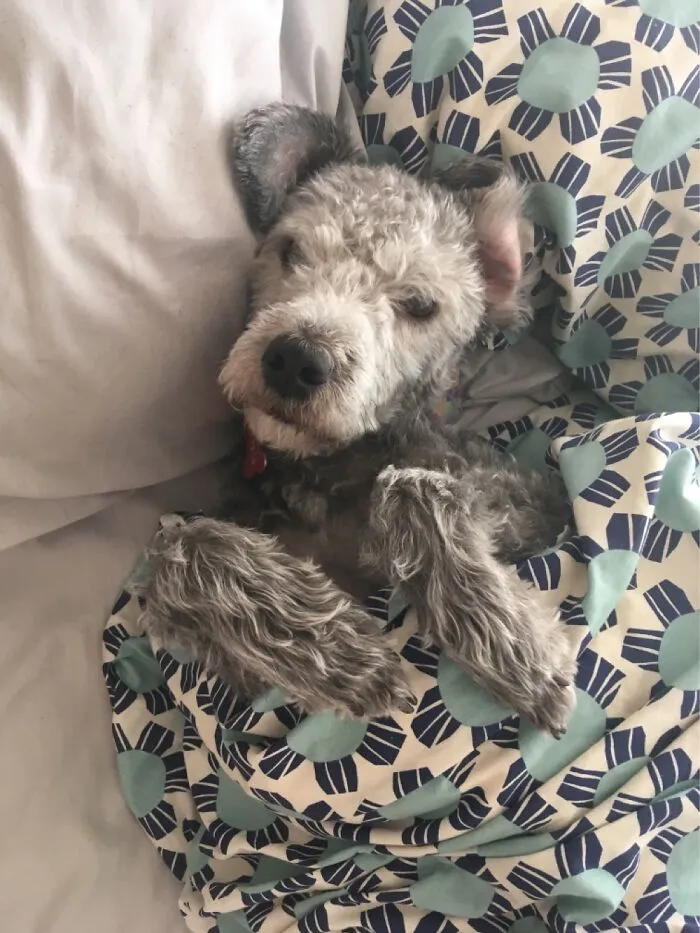 Some Days I Wake Up To This.