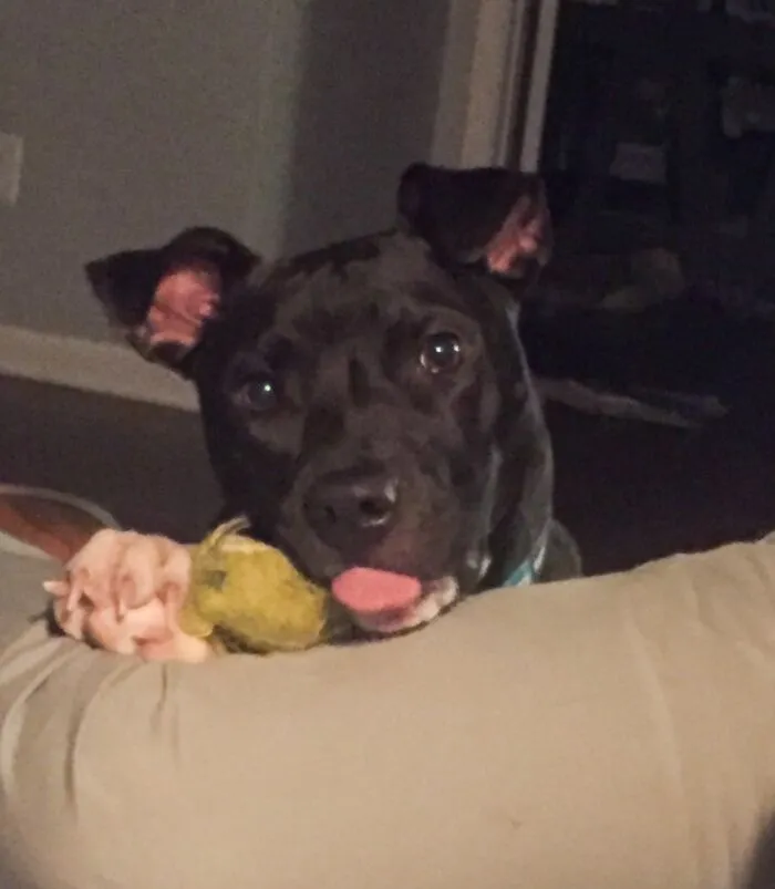 Nella, The Sweetest Little Lady