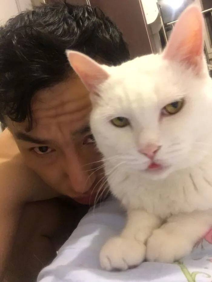 My Cat Often Looks Mad, Like Me.