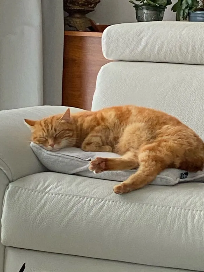 First Time He Came Inside. ( Two Weeks Ago)