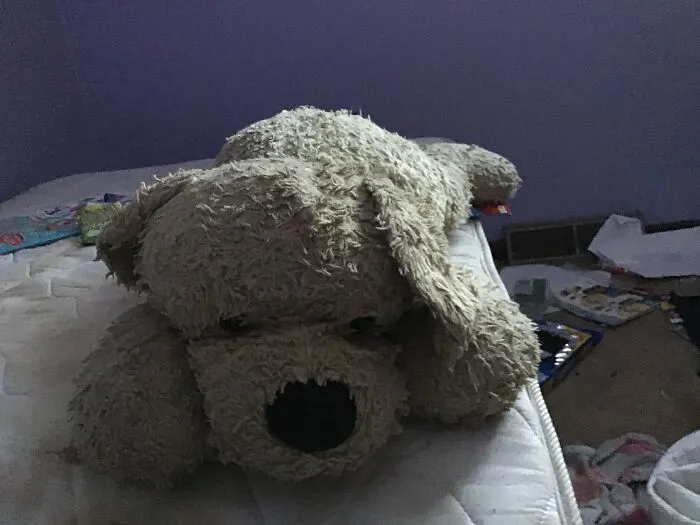 I Named It After My Dog That We Put Down Due To Cancer. Ginni Is Her Name.
