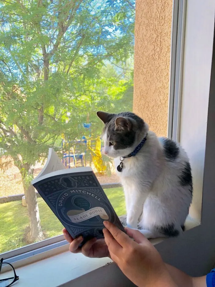 Reading Time