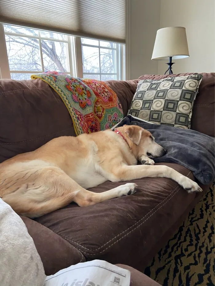 Comfort Level 10000!
