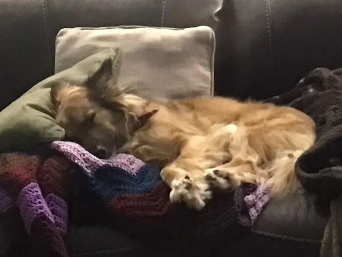 My Lil Sleepy Baby 💗