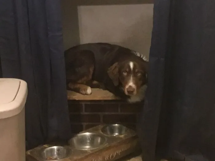 She Sleeps On This Shelf......