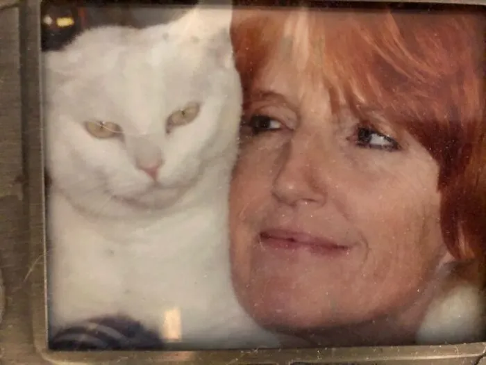 Crookshanks The Shoulder Cat!