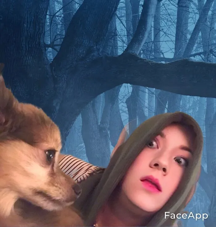 Found A Monster In The Forest