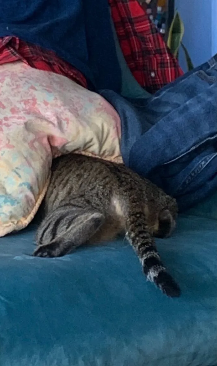 You Can’t See Me