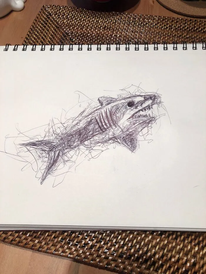 Shark :3