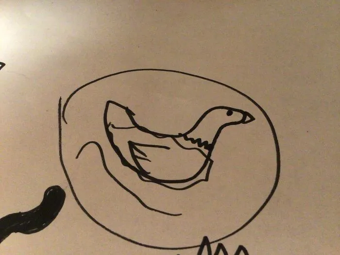 Ducky!