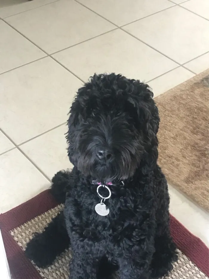My Floof.