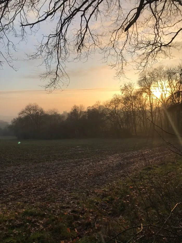 Surrey, England