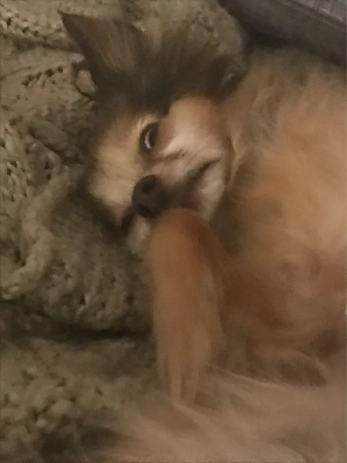 I’m Afraid To Sleep With Him In The Bed Now