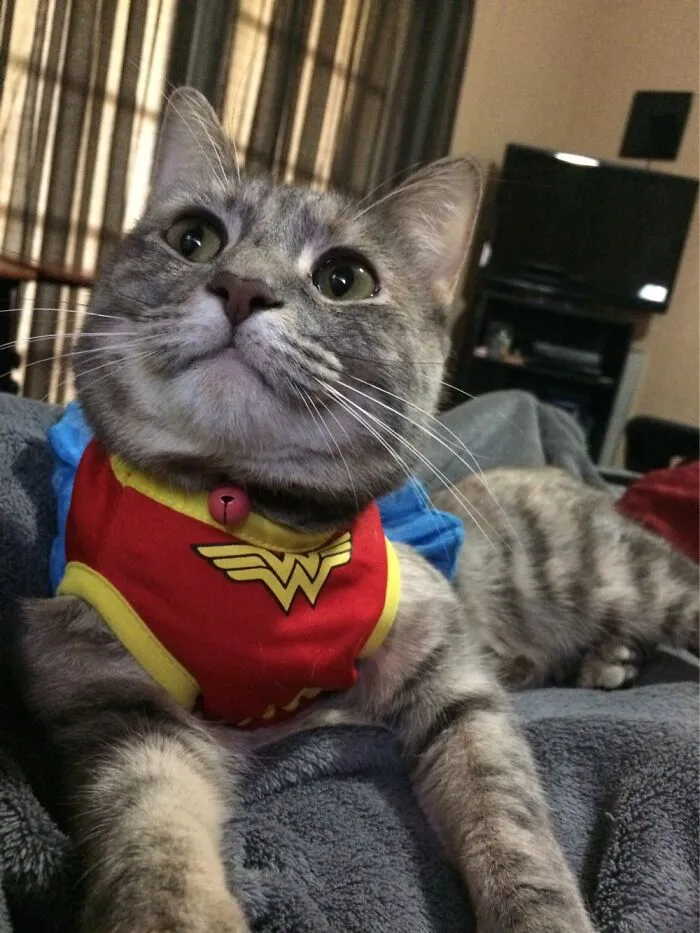 It’s A Wonder That My Little Ittybitty Is So Cute!