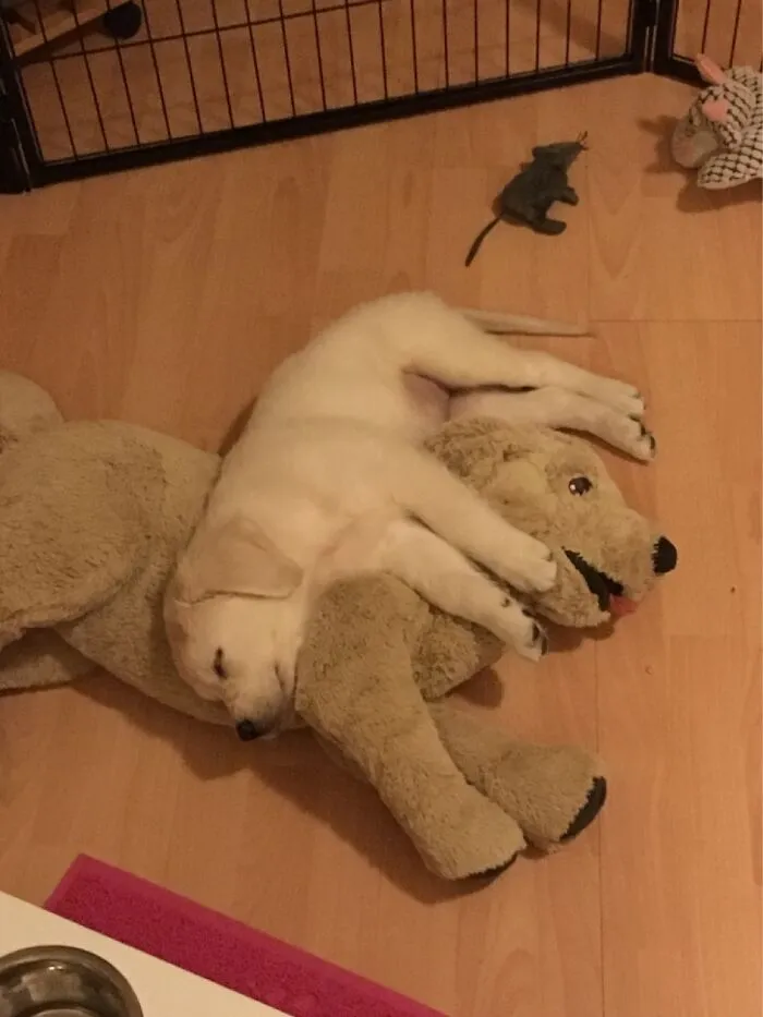Amara With Her Favorite Stuffed Toy