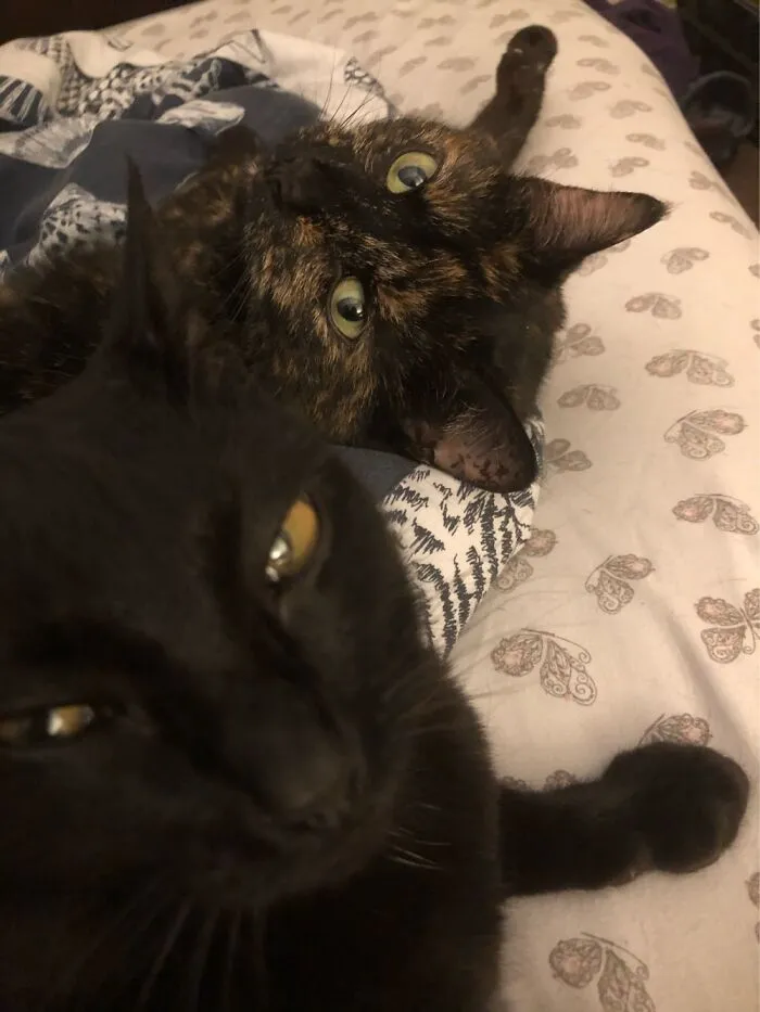 They Judge Me So Hard While Stealing All My Space.
