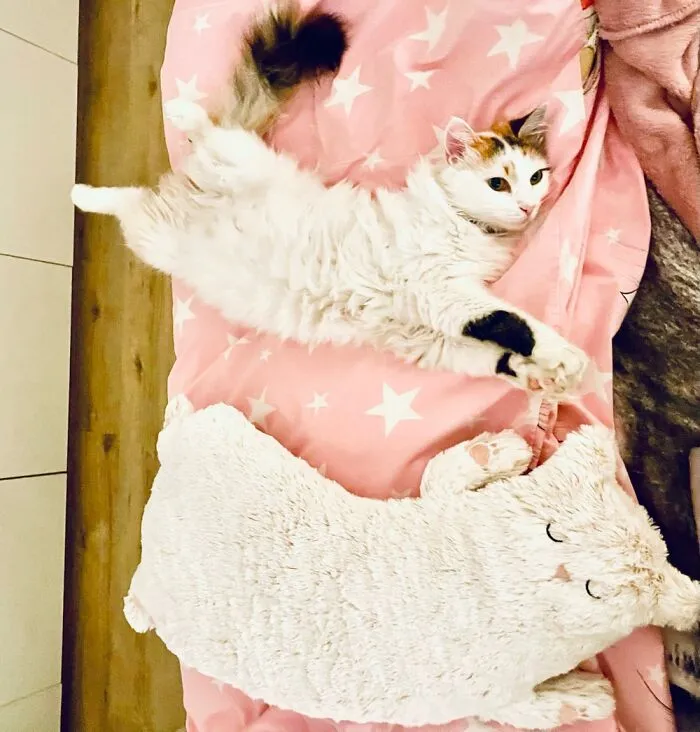 Zizi And Her Toy