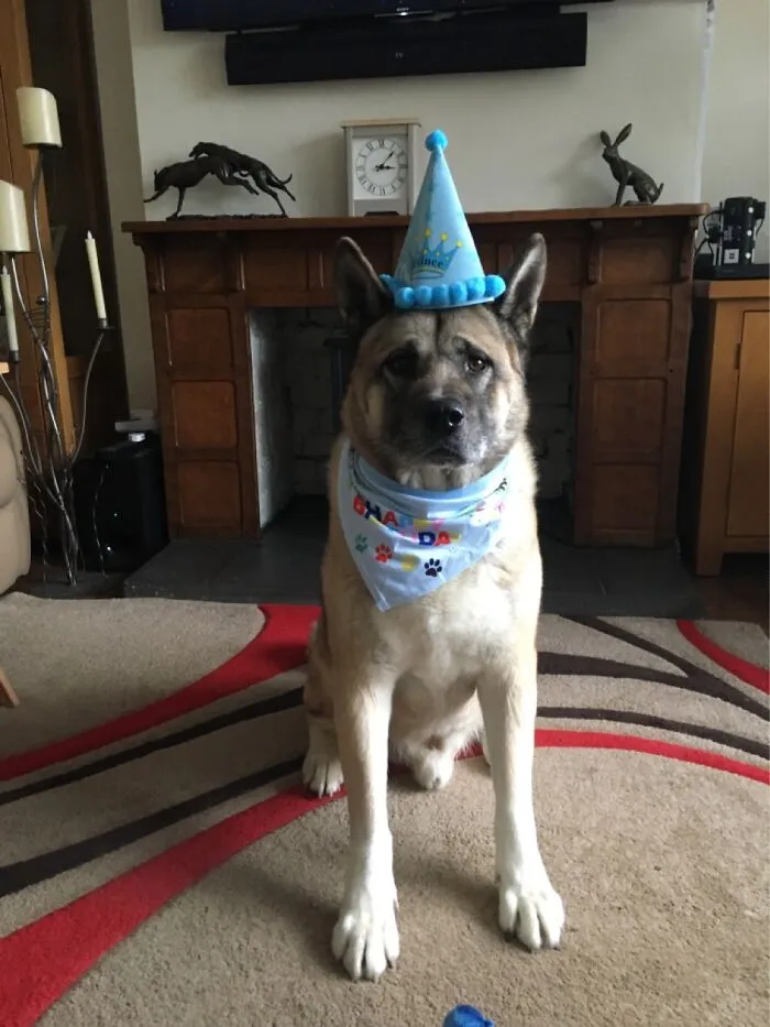 Just Give Me The Treat Mum!
