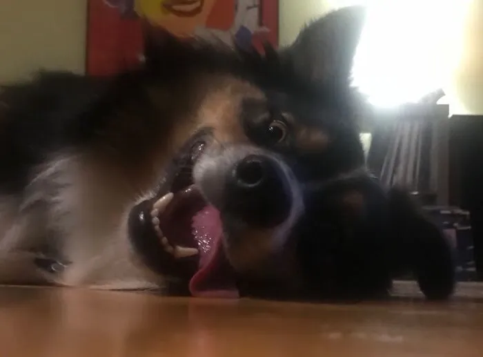 Henry And His Wonder Tongue