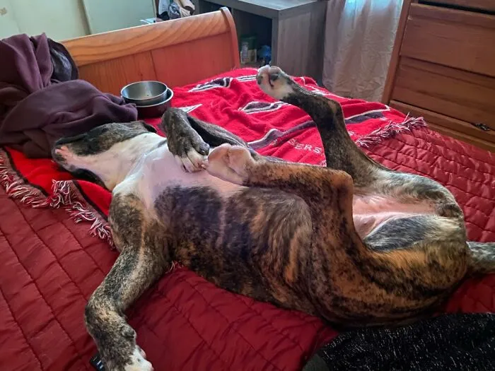 Aurora, A Bed Hog