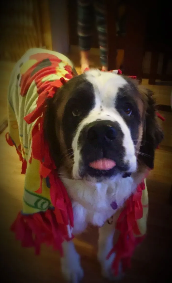 Luna Being A Derp