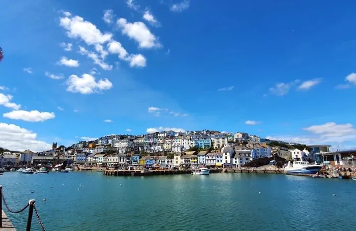 Brixham, Devon.  Last July And Just Beautiful!