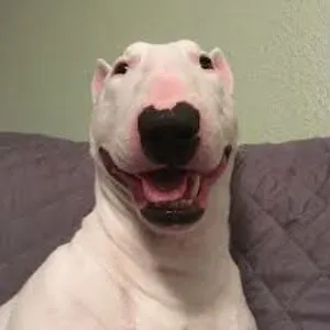 Walter