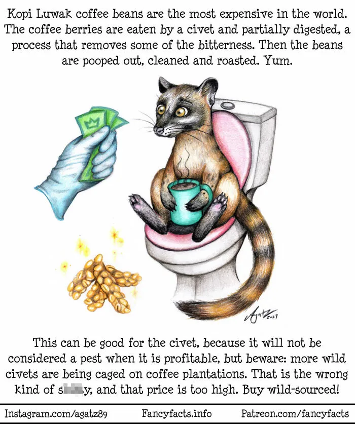 Poop Coffee