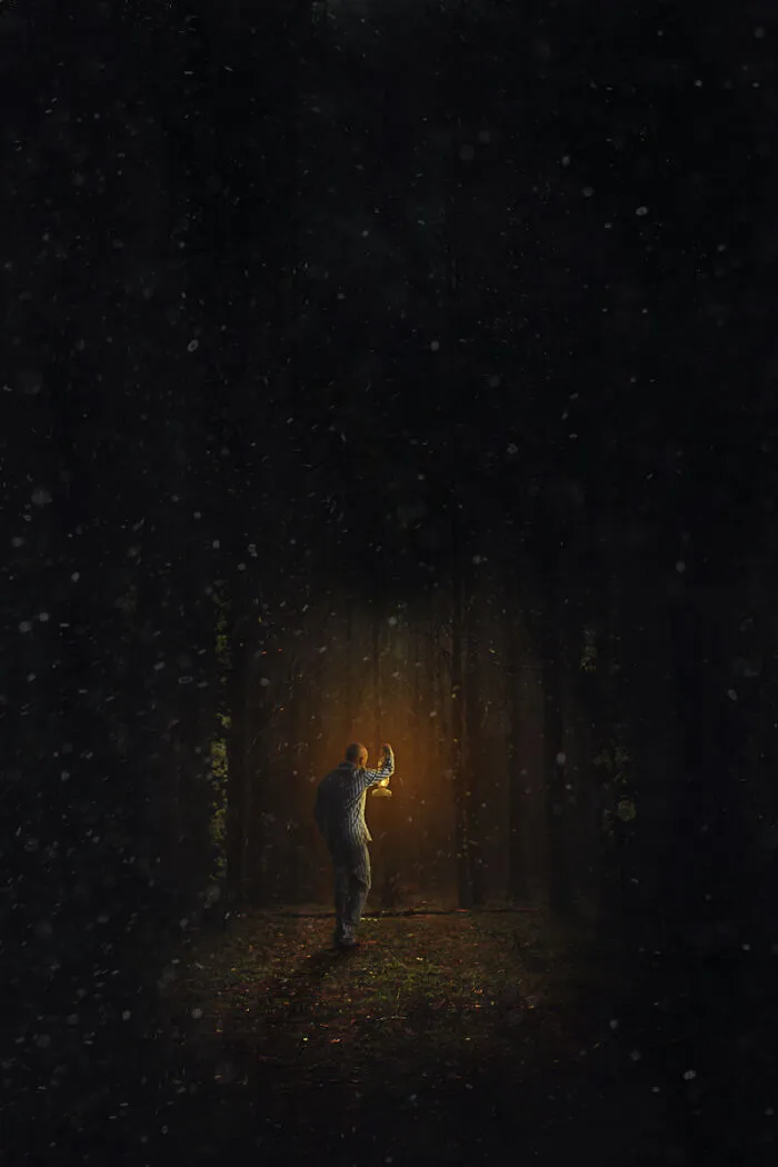 Into The Woods