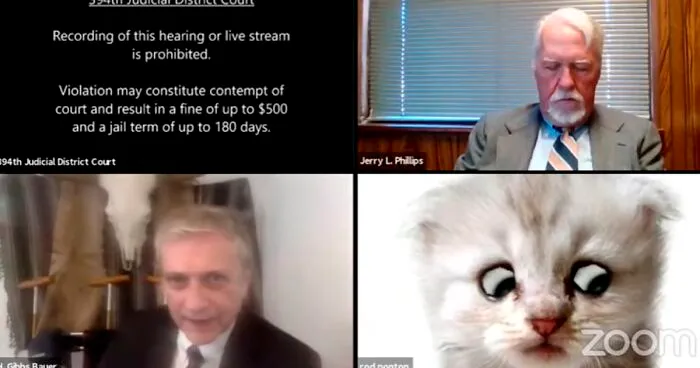 "I Believe You Have A Filter Turned On": Attorney Accidentally Shows Up With A Cat Filter On For A Zoom Court Hearing