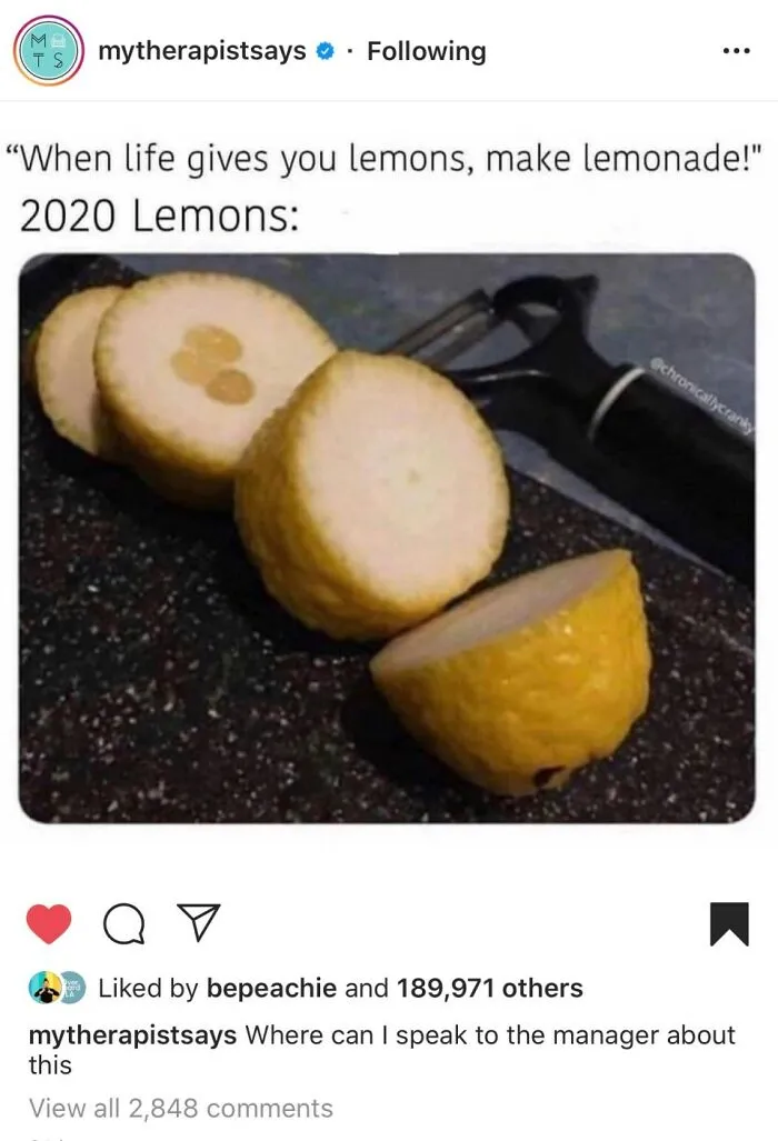 When Life Gives You Lemons...