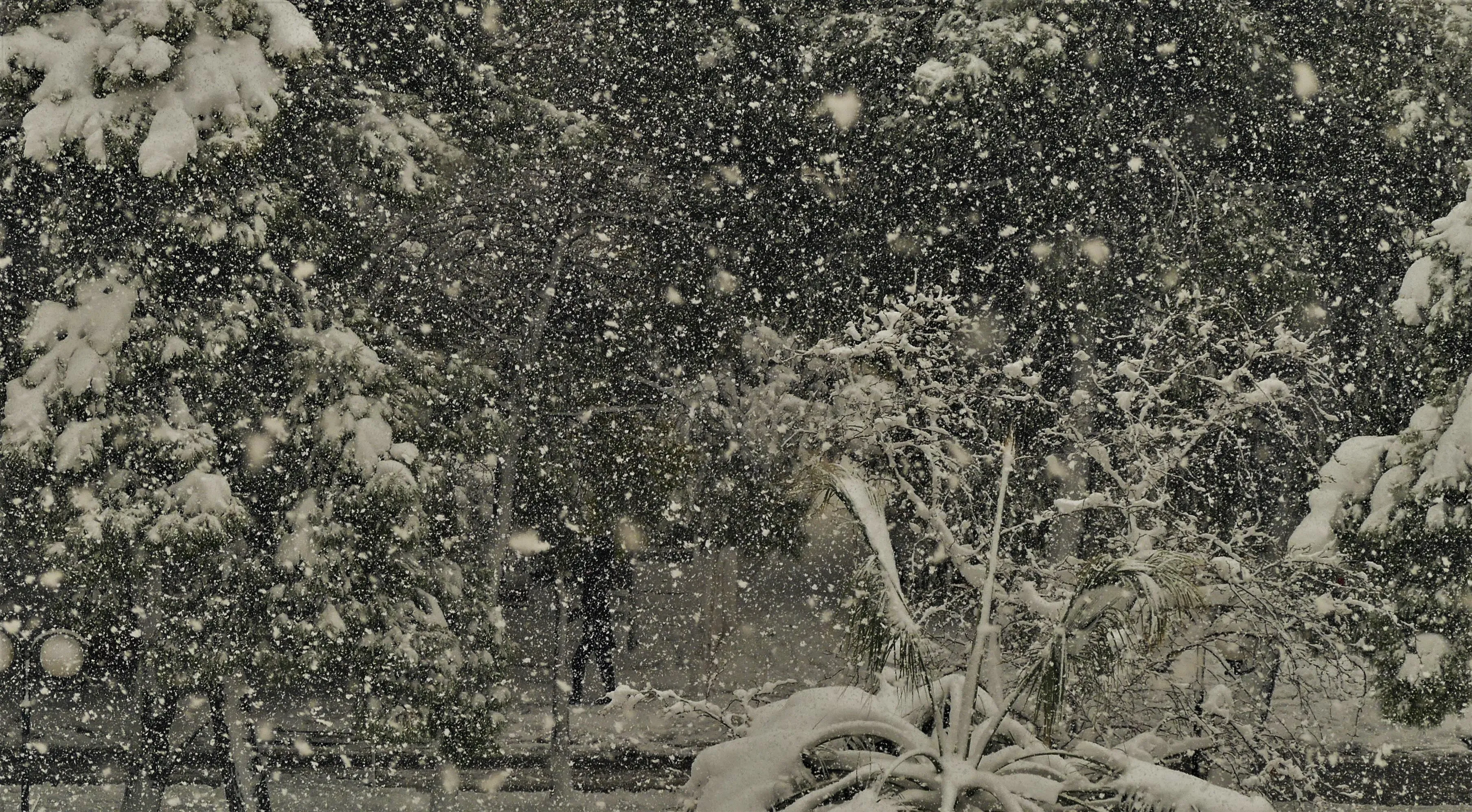 A Snowy Day At My Neighbourhood In West Athens