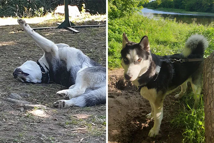 Not So Handsome vs. Super Handsome