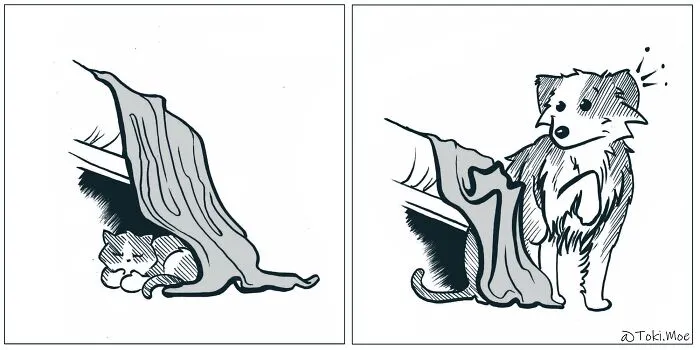 My 29 Comics That Show What It’s Like To Live With A Cat And A Dog