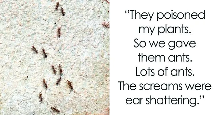 Jerk Neighbors Pour Poison Over Couple's Tomatoes, Couple Unleash An Ant Army On Them