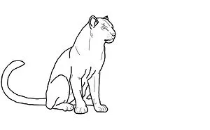 Hey Pandas, Draw A Cat (Closed)