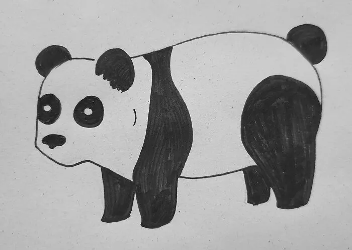 Chonky Panda