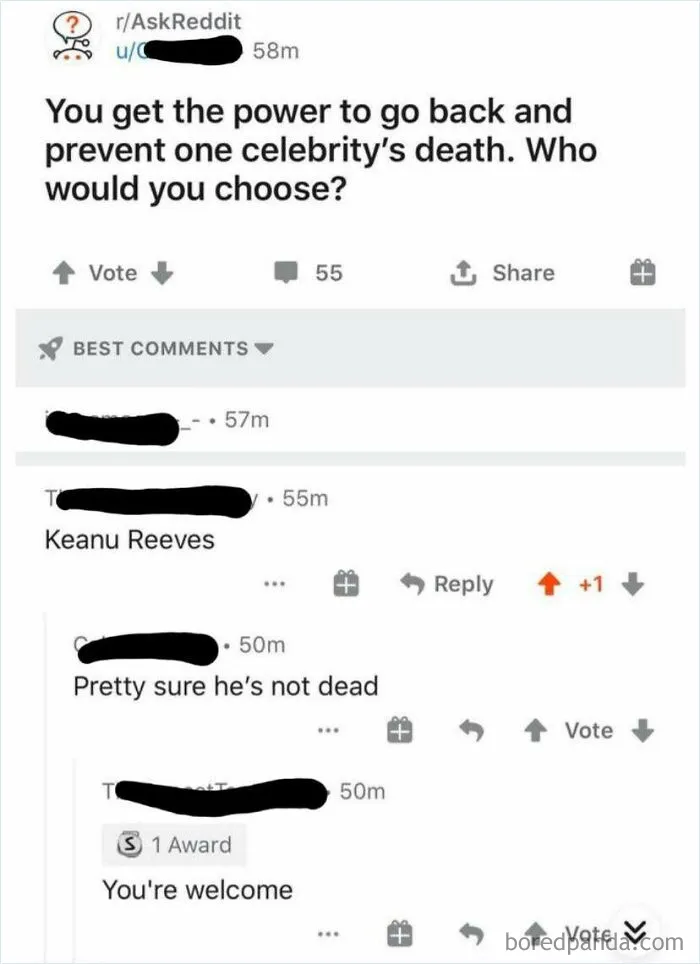 Tbh Would Pick Steve Irwin
