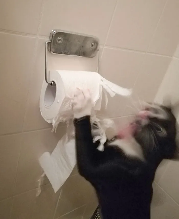 Bane, Destroyer Of Worlds
